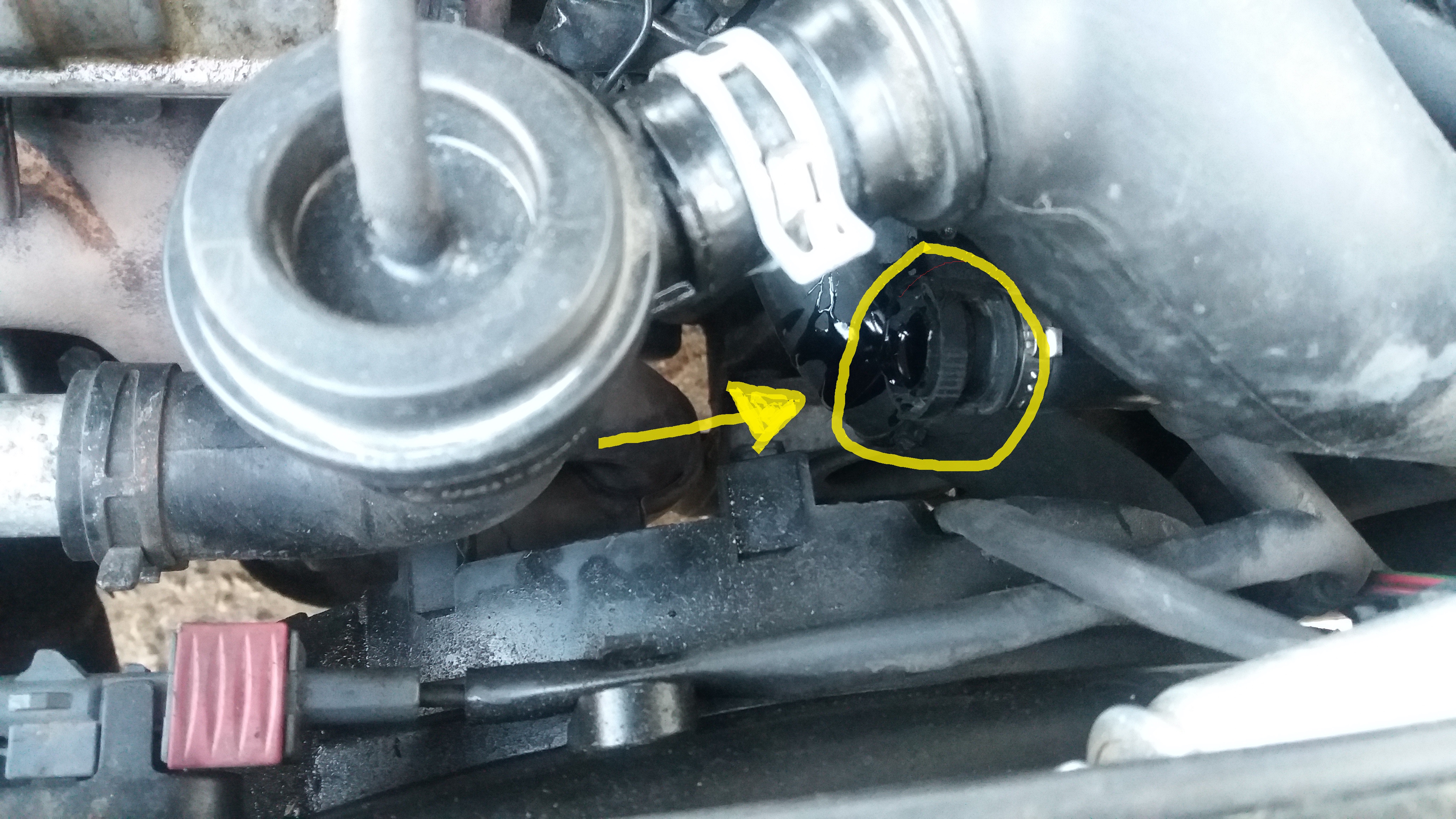saab.jpg/><br />
			<span class=