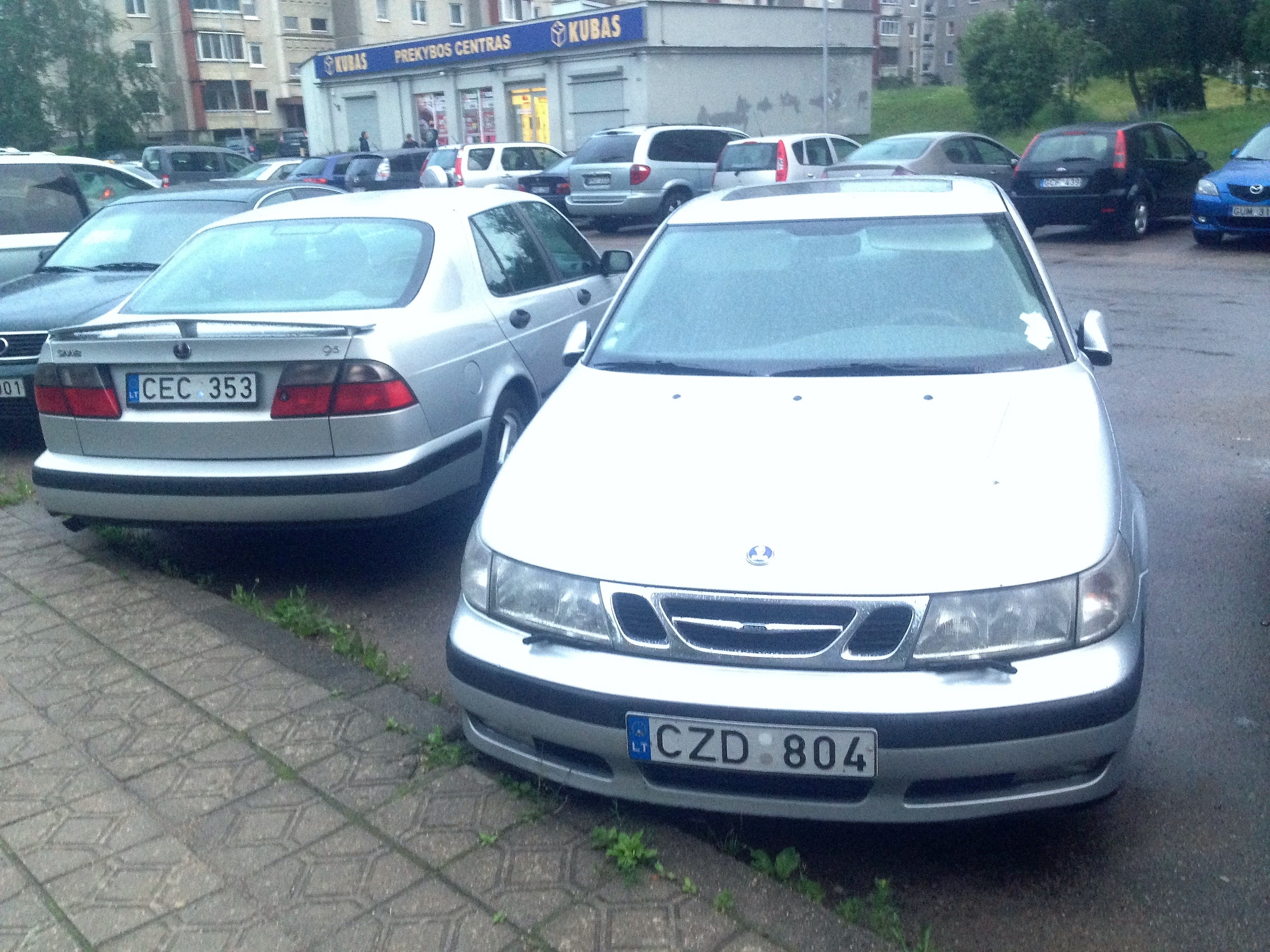 IMG_0384 (1).JPG/><br />
			<span class=