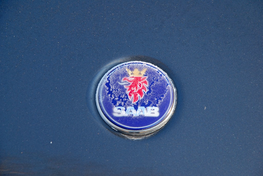DSC_0651 modified.jpg/><br />
			<span class=