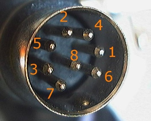 Din8_male.jpg/><br />
<span class=