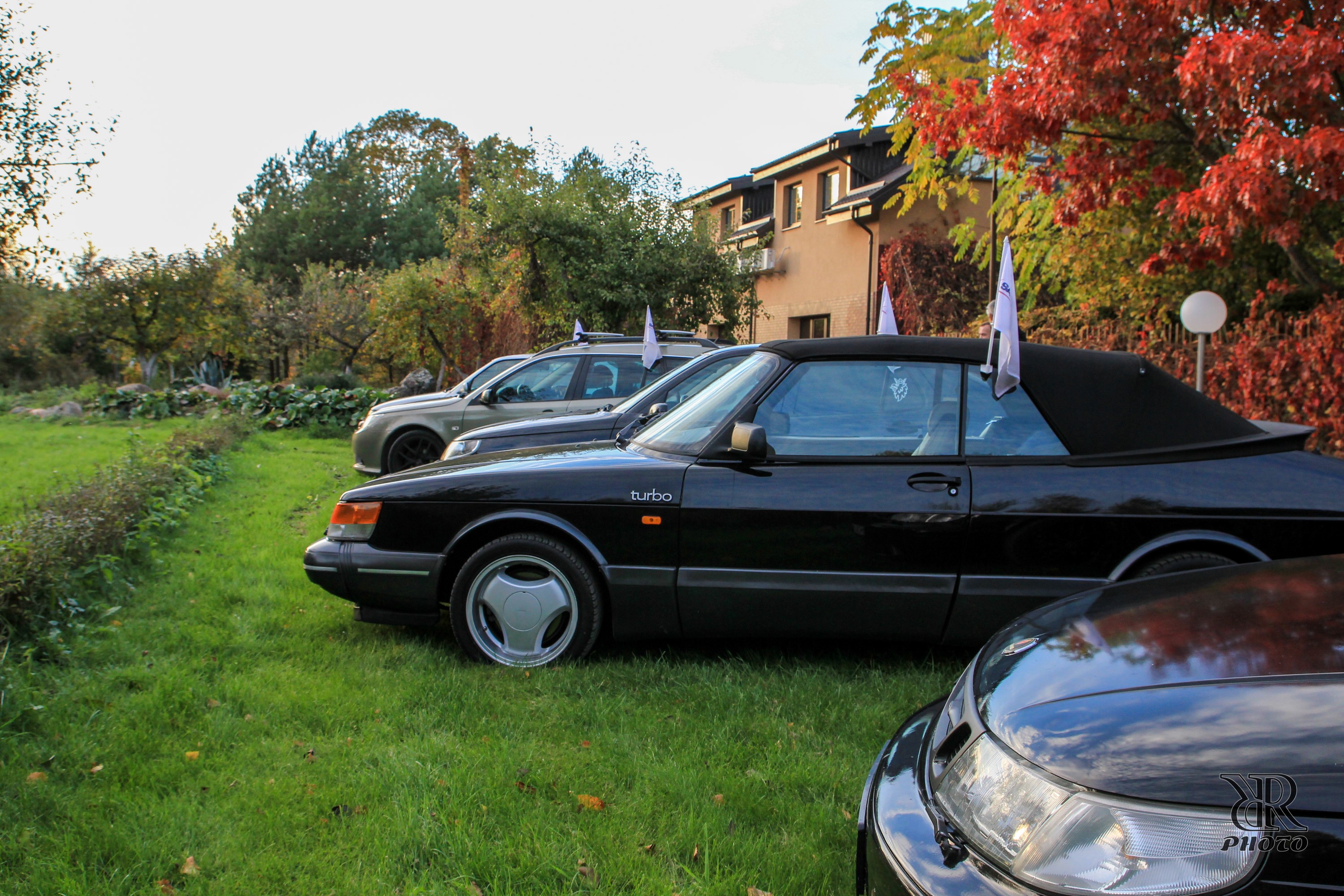IMG_7000 (4) (Custom).jpg/><br />
<span class=