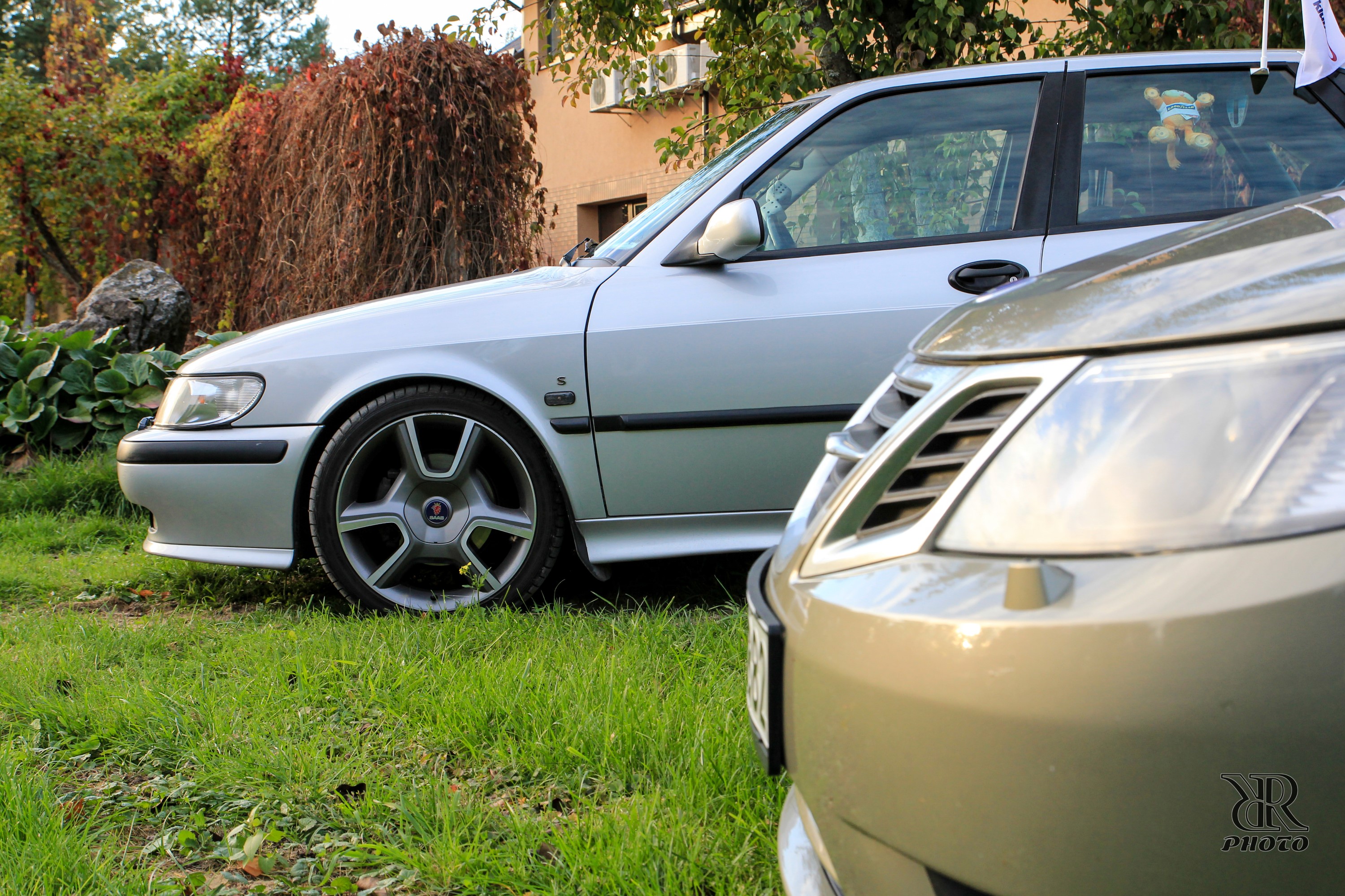 IMG_7000 (7) (Custom).jpg/><br />
<span class=